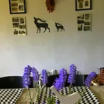 Dom Gorski - Caly Na Wylacznosc Feriehus Szklarska Poręba