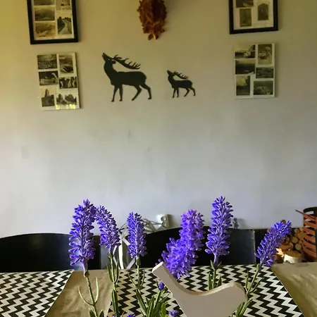 Dom Gorski - Caly Na Wylacznosc Nyaraló Szklarska Poręba