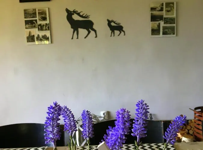 Dom Górski - Cały Na Wyłączność Dom wakacyjny Szklarska Poręba