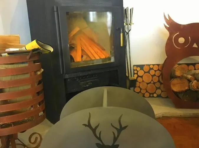 Dom Górski - Cały Na Wyłączność